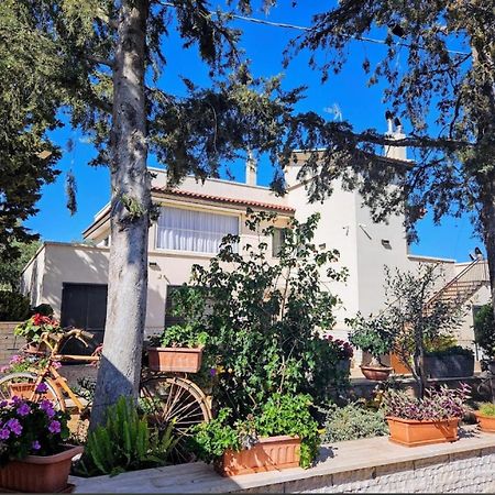 プティニャーノCasa Belcolleアパートメント エクステリア 写真